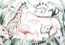Watercolor Illustration Of African Animals: Lemur, Flamingo And Giraffe, Toucan And Rhipo, Rhino And Elephant Isolated White Background. Safari Savannah Animals