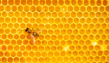 Beautiful Honeycomb With Bees Close-up. A Swarm Of Bees Crawls Through The Combs Collecting Honey. Beekeeping, Wholesome Food For Health.
