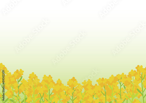 花畑 アドビストックのデザイン かべいろ Com おしゃれ壁紙リフォーム貼り替え インクジェット壁紙のかべいろ Com