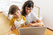 © (JLco) Julia Amaral - Happy mother and son with laptop