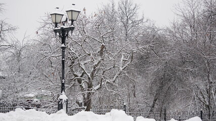 Wall Mural - lamp post in the snow