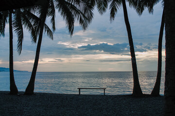 wooden bench between palm trees by the sea at tropical dusk