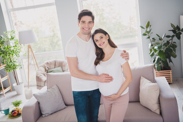 Poster - Photo of attractive beautiful positive good mood couple expecting child hugging belly couch indoors