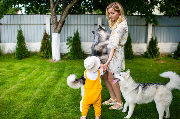 Wall Mural - Mother and son playing with two dogs in the garden