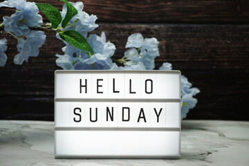 Wall Mural - hello sunday word in light box with flowers decoration