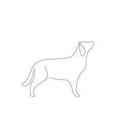 Wall Mural - Dog drawing on white background, vector illustration