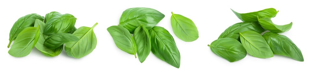 Fresh basil leaf isolated on white background with clipping path and full depth of field. Top view. Flat lay, Set or collection