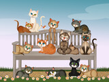 Fototapeta Koty - illustration of feline colony