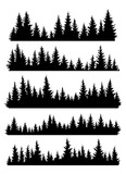 Fototapeta Las - Set of fir trees silhouettes. Coniferous spruce horizontal background patterns, black evergreen woods vector illustration. Beautiful hand drawn panoramas of a coniferous forest