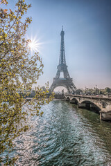 Fototapete - Eiffel Tower with spring trees against sunrise in Paris, France