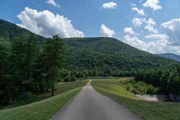 Poster - Beatuiful shot of a road leading through green hills under a bright sky in Austin, Pennsylvania