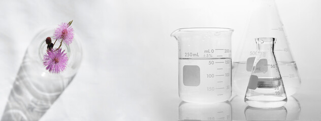 Wall Mural - pink flower in flask with clear beaker and glassware in cosmetic science lab background