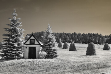 Wall Mural - landscape, view seen through an infrared filter