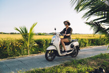 Side View Of Attractive Caucaisan Tourist Driving Old Fashioned Scooter On Travel Path Enjoying Sunny Weather At Nature Environment, Beautiful Hipster Girl Testing Vintage Moped During Journey