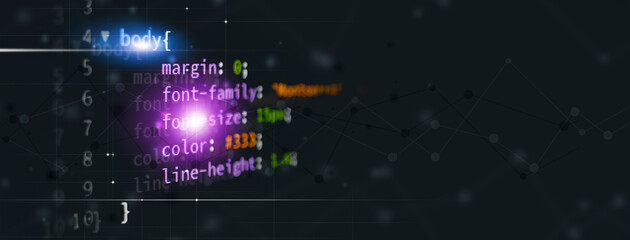 Wall Mural - css web coding banner