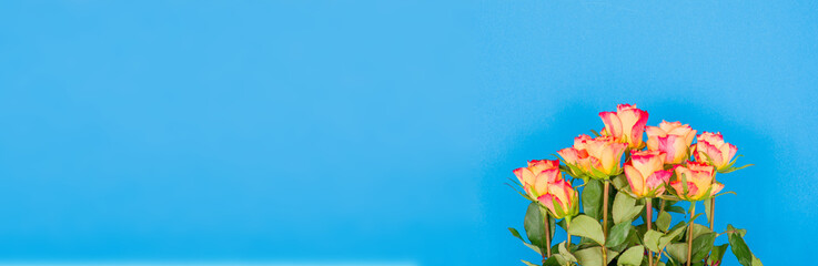 Poster - Rose flowers on a banner background