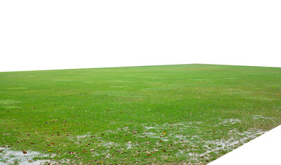 Grass field on white background.