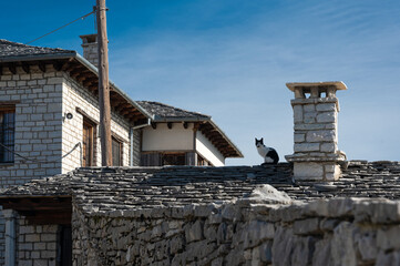 Wall Mural - A cat stands on the roof of a stone house of traditional architecture in the village of Papigo in Epirus, Greece