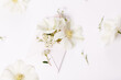 Romantic bouquet of white clematis flowers in a pink envelope, close-up view. Romantic background