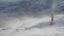 Wind Blowing Snow In The Abajo Mountains Of Utah. 