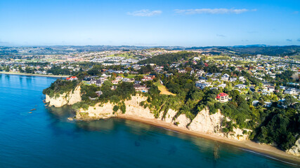 Wall Mural - Aerial view of a beautiful suburb on the shore of a quiet harbour on a sunny morning. Auckland, New Zealand