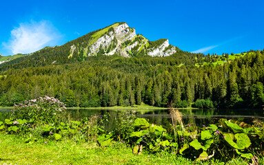 Sticker - Landscape of Obersee lake in the canton of Glarus in Switzerland