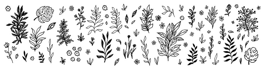 Wall Mural - Set of flowers, berries and leaves collection. Floral hand drawn vintage set. Sketch art illustration. Element design for greeting cards and invitations of the wedding, birthday