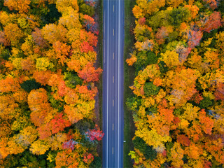 Wall Mural - Autumn drive through the tunnel of Trees in Michigan Upper Peninsula UP - Highway 41  M26 Aerial view