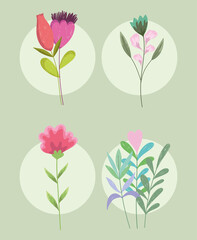 Canvas Print - flowers decoration floral flora nature foliage icon set