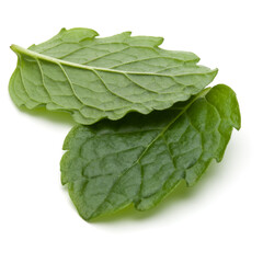 Peppermint herb isolated on white background cutout. Mint leaves.