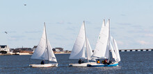 Small Sailboats In The Great South Bay In The Winter
