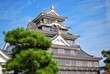 Okayama Castle also known as 