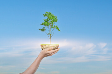 Canvas Print - saving earth concept. human hand holding globe with a tree over blue sky background. elements of thi