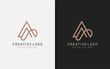 Luxury Letter A Logo Design. Elegant Geometric Line Curve Vector Logotype. Creative Monogram Logo Illustration.