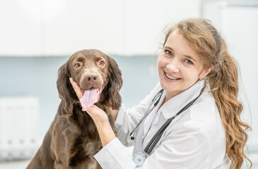 Sticker - Happy veterinarian doctor hugs a dog at vet clinic