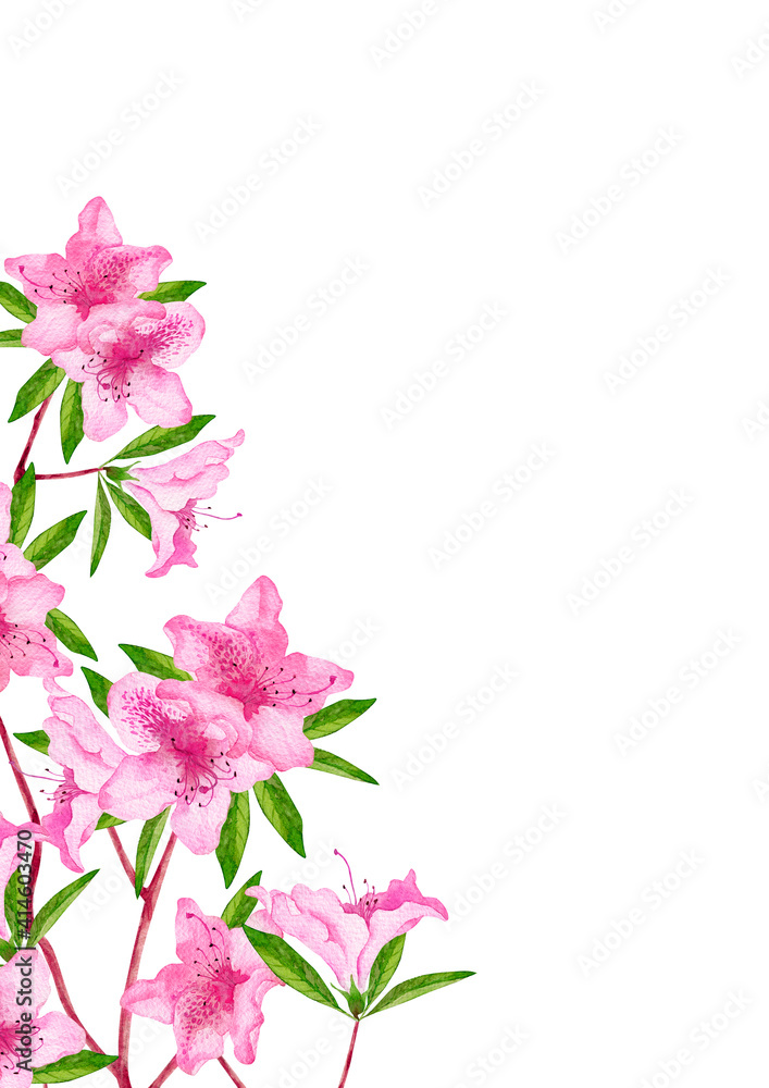 Obraz W Ramie ツツジ 春 背景 フレーム 縦位置 水彩 イラスト Azalia Rama Rozowy Fototapety Foteks Obraz W Ramie ツツジ 春 背景 フレーム 縦位置 水彩 イラスト Azalia Rama Rozowy Fototapety Foteks