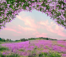 Idyllic spring background with blossoming lilac bushes flowers and pink wildflowers on meadow. Pink morning clouds on blue sky over delicate flowering spring meadow, space for text