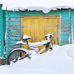 Canvas Print - Neuschnee im Garten