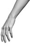 © German Ovchinnikov - Model of a white female detailed hand. Polygonal hand of a girl. 3D. Vector illustration
