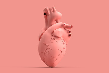 Minimalistic illustration of human heart on pink background. 3D illustration