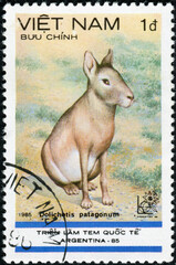 Wall Mural - VIET NAM - CIRCA 1985: stamp printed by Viet Nam, shows Patagonian Mara