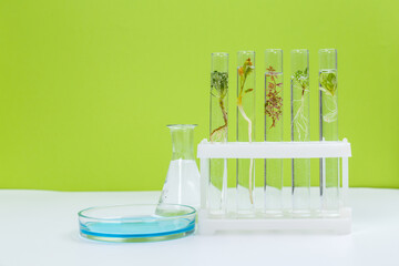 Canvas Print - Various laboratory glass products and natural ingredients on white table in cosmetic laboratory