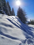 Fototapeta Na ścianę - Paysage hivernal en montagne - poudreuse et soleil
