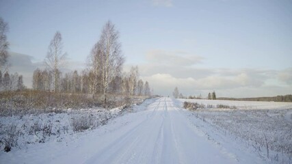 Wall Mural - The first snow on an agricultural field with a birch grove and a house on a sunny day. Road through fresh snow in the field. Krimulda, Latvia