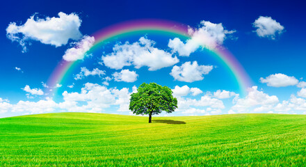 Wall Mural - idyll, panoramic view, lonely tree with rainbow on green field