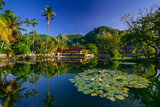 Fototapeta Góry - Beautiful oasis in Bali, with palm trees 