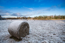Wintry Field With Haystack Roll, Padure, Latvia