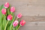 Fototapeta Tulipany - Tulips on wooden background. Pink flowers. 