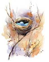 Watercolor Illustration Of A Bird Nest With Blue Eggs Hidden In Shrubs