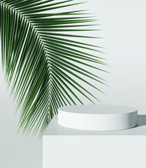 White product display podium with nature leaves. 3D rendering